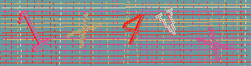 Codice di conferma