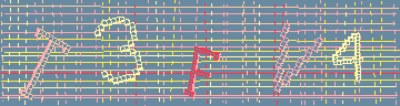 Codice di conferma