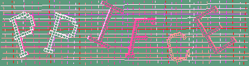 Codice di conferma