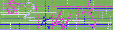 Codice di conferma